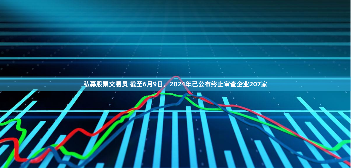 私募股票交易员 截至6月9日，2024年已公布终止审查企业207家